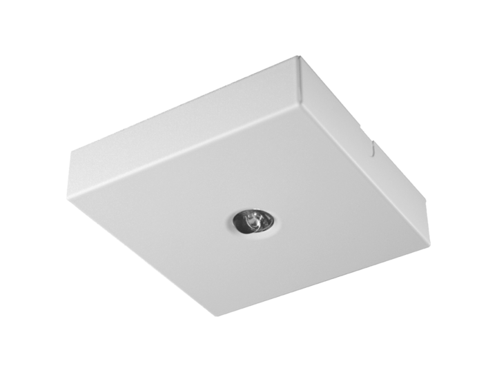Aufbaunotleuchte SAFE Aufbaunotleuchte SAFE